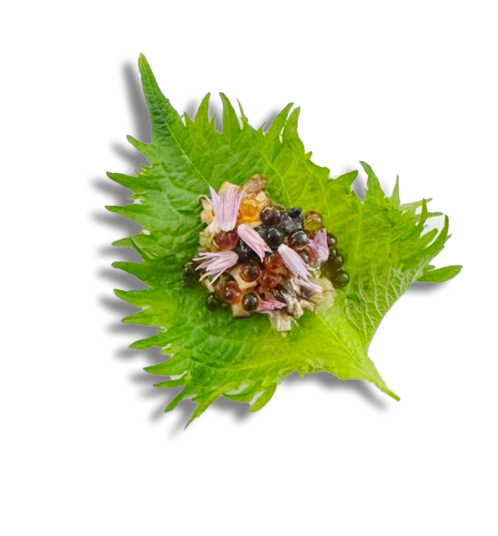 Le Puyverre - Restaurant Puyvert - Restaurant Puyvert