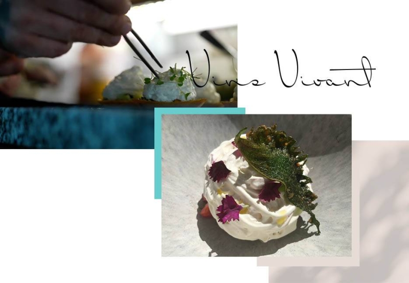 Le Puyverre - Restaurant Puyvert - meilleur restaurant PUYVERT