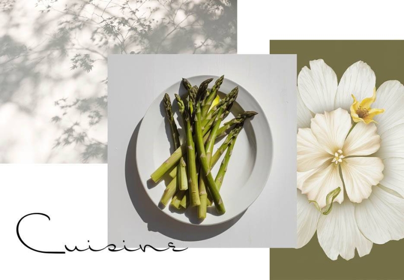 Le Puyverre - Restaurant Puyvert - Restaurant Puyvert